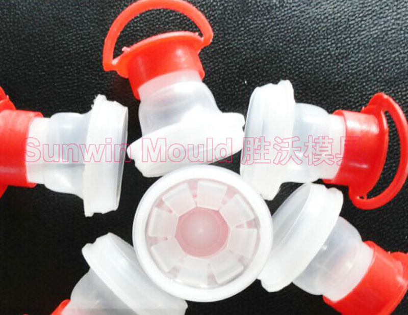 pull-push-cap-mould2